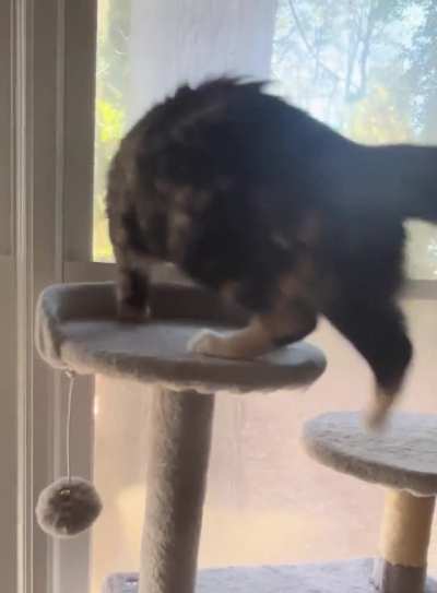 Email has an announcement to make