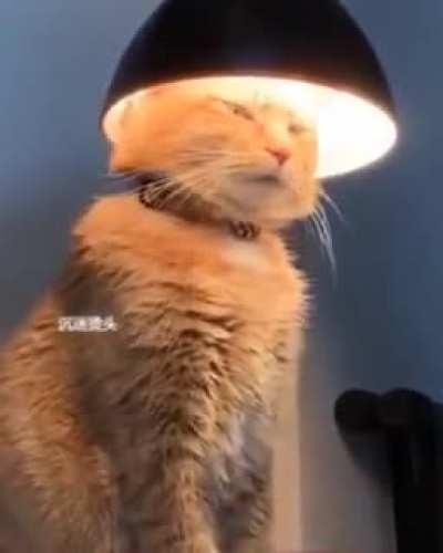 looks like someone is kinda busy