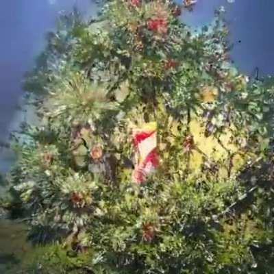 “Idk if that tab’s hitting or not bro maybe I should take another”