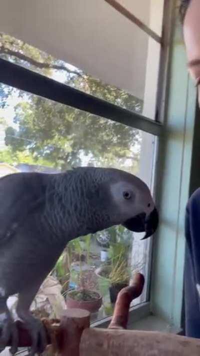 Apollo pranks then demands kiss