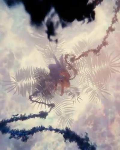 My latest piece, “In Pursuit of the Sollus” on Bubblehouse