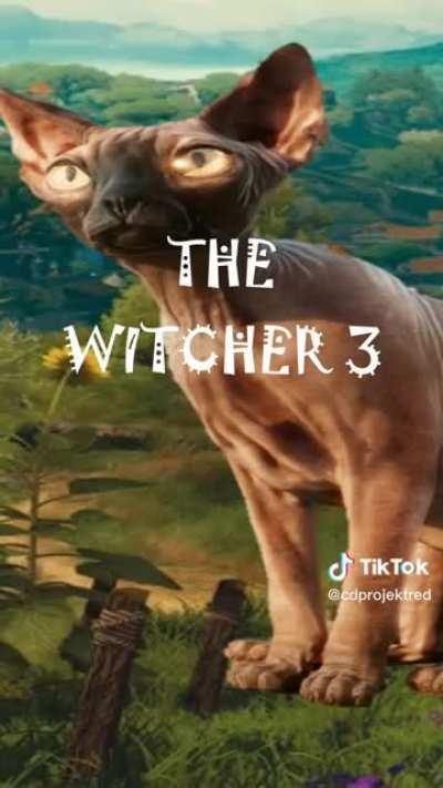 Cd Projekt red on TikTok :