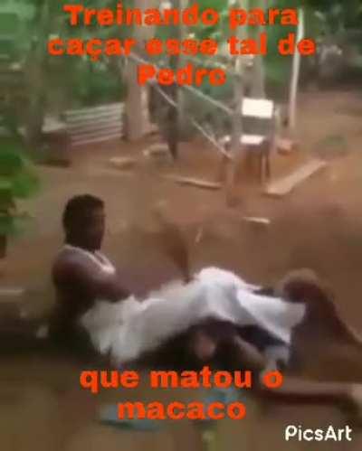 Pedro 😡😡😡 (original)