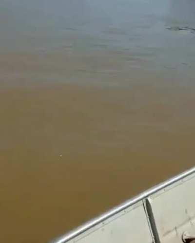 Little ride for a fellow in need