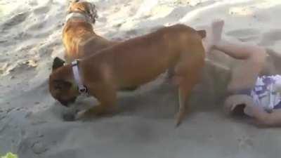 Let sleeping dogs lie