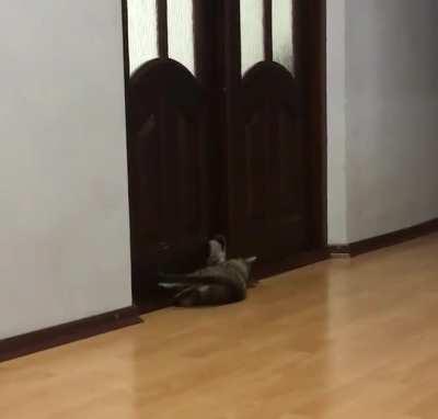 Let me in! Let me in! Oh