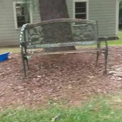 Dog trainer said sand boxes are calming...