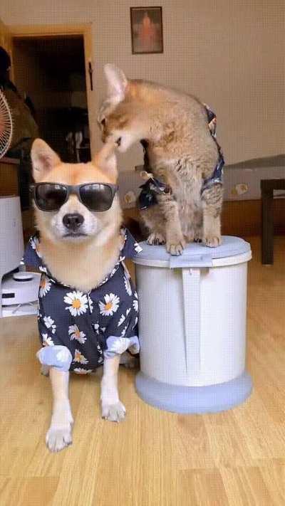 Да, это мой. Мы с ним вместе.