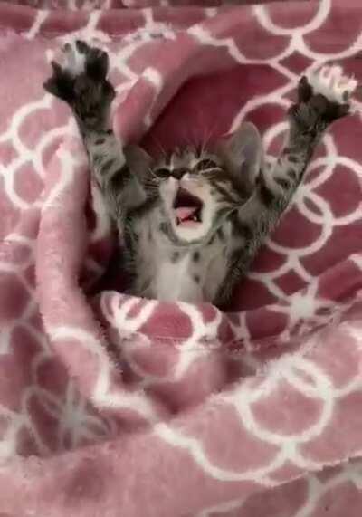 Criminal caught in hiding, immediately surrenders!