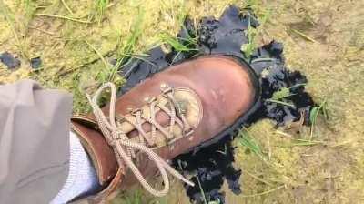 Don't step on the grass