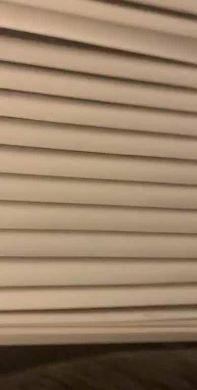 I&rsquo;m being preyed upon in my own damn house (excuse my cackling)