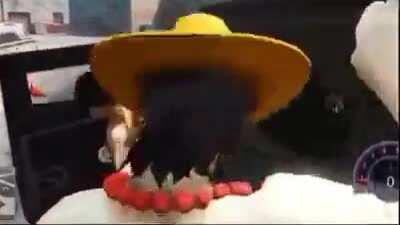 leaked gameplay of new pirate warriors