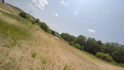 Beware: confrontational and aggressive deer