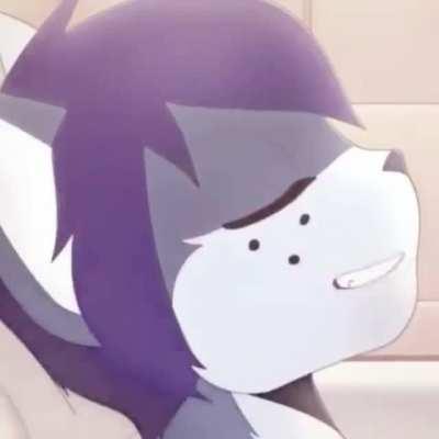 sorry, i know the sauce