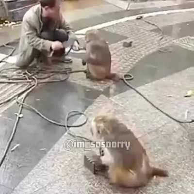 muquinha batendo no chefe pra dar aumento pra ele mesmo sendo milhonário