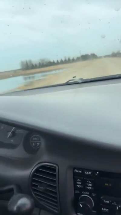 85 in reverse🗣️🔊