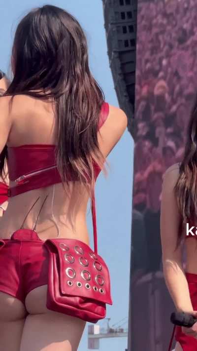 Lollapalooza was a treat