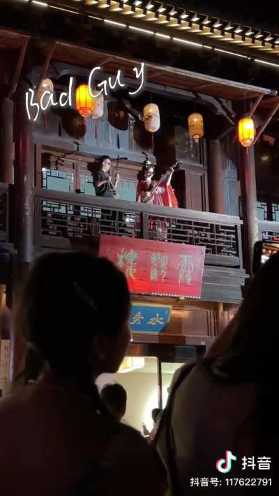 Chinese instrument sanxian and erhu cover of bad guy