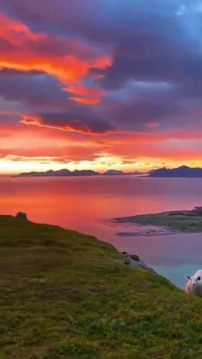 🔥 Always breathtaking, Norway