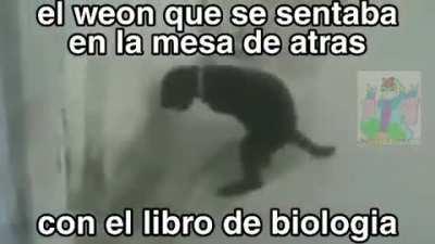 Noooooo juan con mi bolsa de colores noooo 😭😭😭