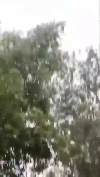 Pakistani Rangers and civillian bird hunters gather to hunt down Indian drone