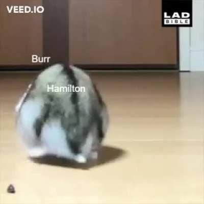 You get nothing if you...