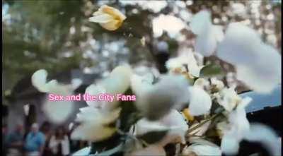 My feelings towards And Just Like That.