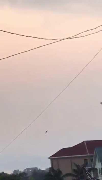 High Quality Alternate Angle of DRC Su-25 taking fire