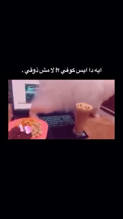 Iced coffee? No, not my taste