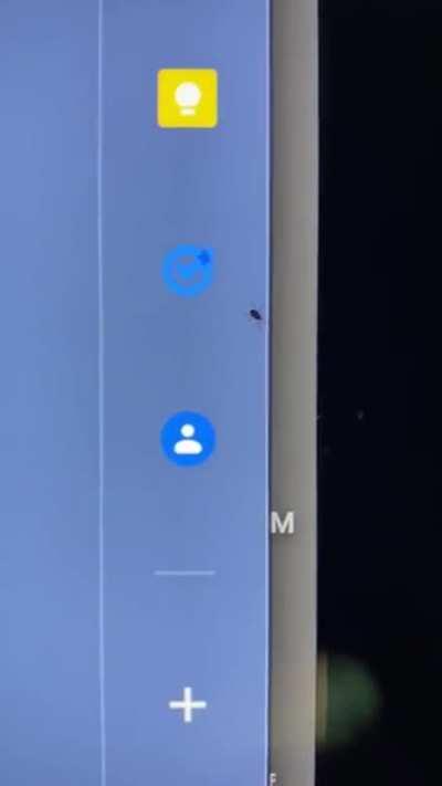 Actual bug in my computer