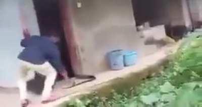 don't touch my tail!