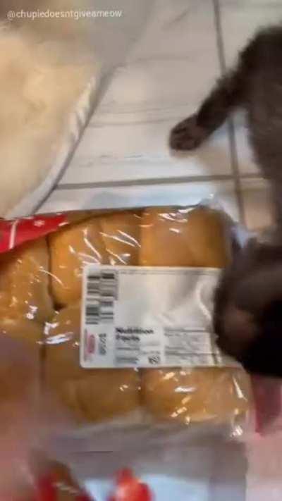 Боря! Отдай булку!