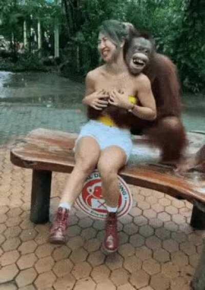 This Ape Gots Game!