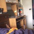 This made my day so much better