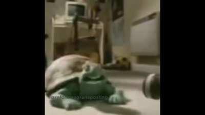 nadie : el toxico ql con 1000 de ping cuando te esta insultando