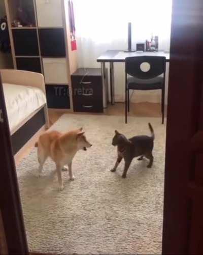 When you go to hang out with your friend but he already did all the drugs