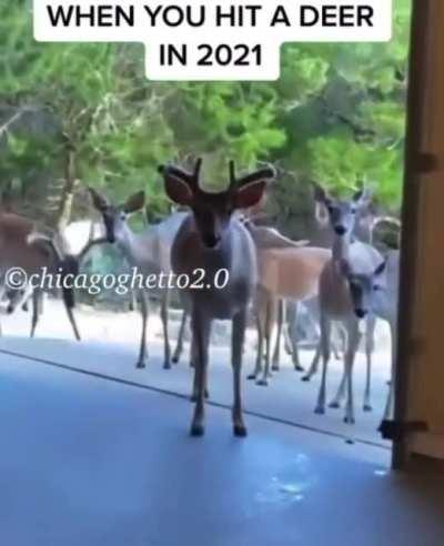 #GetBackGang 😈🦌