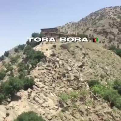 Taiga shall know the wrath of Allahð