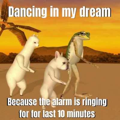 Every Morning me 😐