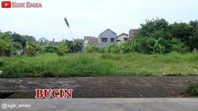 Tipe-Tipe Orang Dibonceng