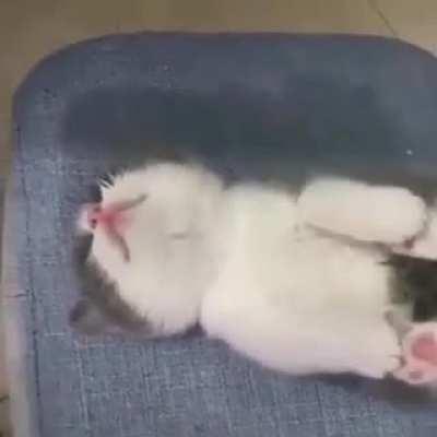 I don't know why he sleeps like that