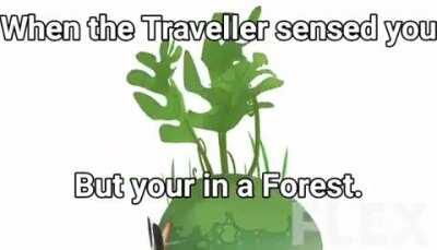 Credit: FLEX (Youtube.)