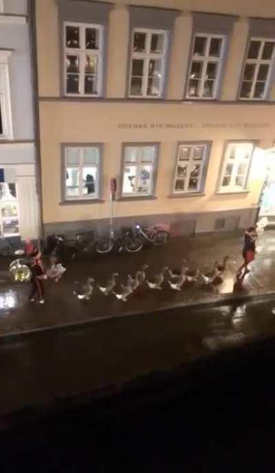 Det lader til at vores hemmelige planer er blevet afsløret