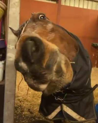 Здравствуй