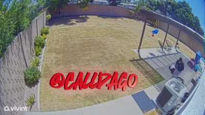 YN get k!lled trying Robb house😢 