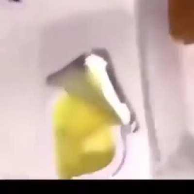 don’t touch my nugget