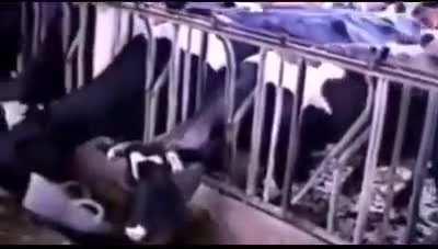 The revolution is now