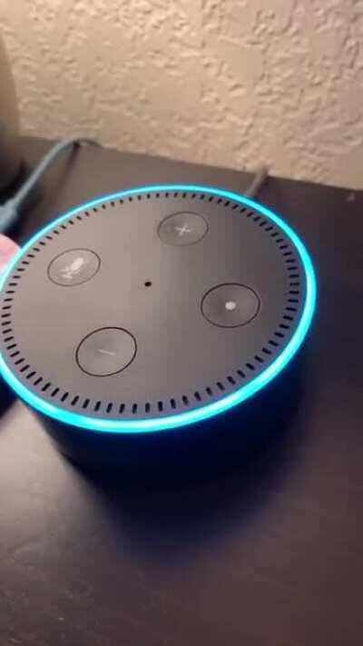 Thanks, I hate Alexa