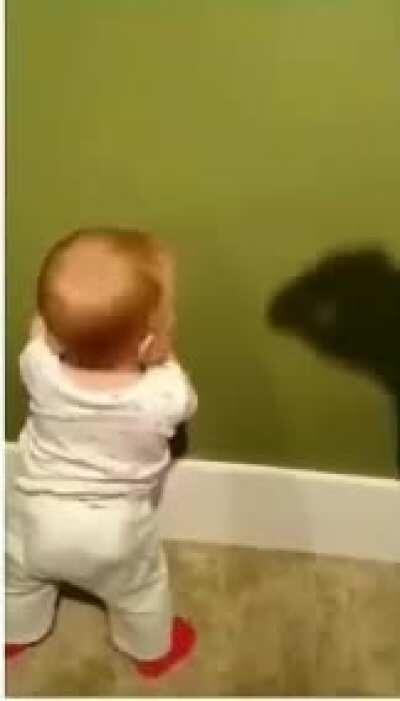 Monster on the wall!