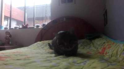 You've been hunted [POV]